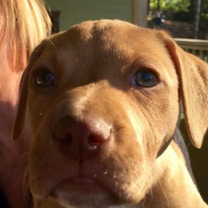 Meet your Posher, Trenton